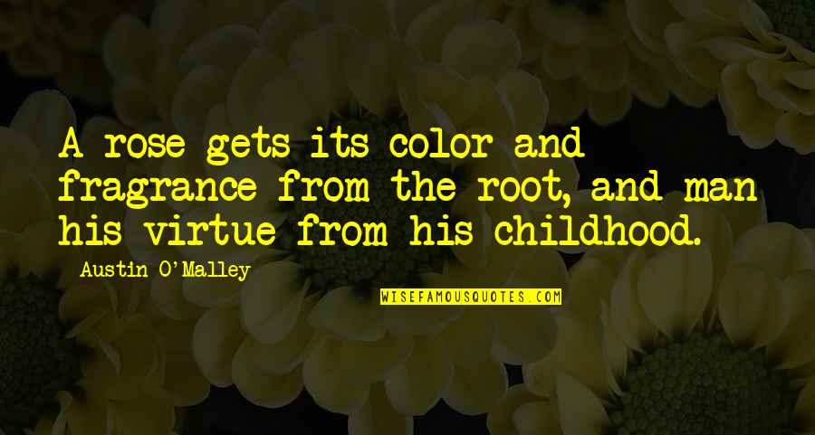 Quoc Bao Quotes By Austin O'Malley: A rose gets its color and fragrance from Quoc Bao Quotes By Austin O'Malley: A rose gets its color and fragrance from