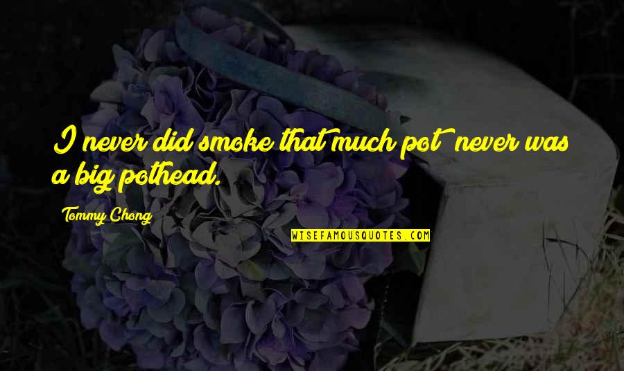 Quocumque Quotes By Tommy Chong: I never did smoke that much pot; never