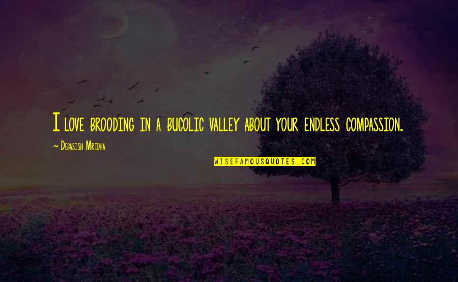 Quotes About Love Quotes By Debasish Mridha: I love brooding in a bucolic valley about