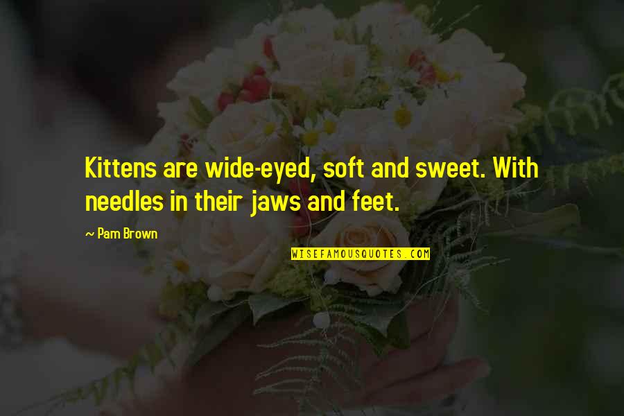 Quotes Affirming Life Quotes By Pam Brown: Kittens are wide-eyed, soft and sweet. With needles