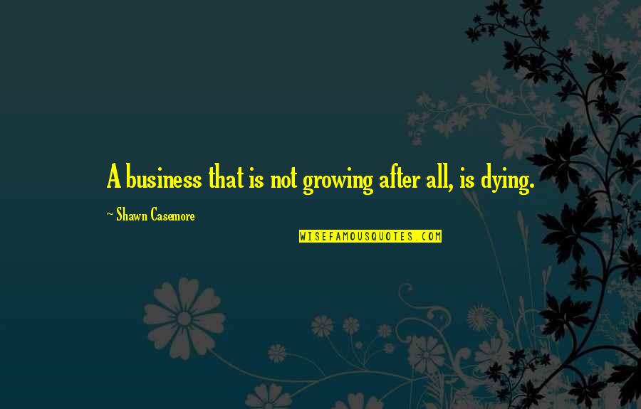 Quotes After A Quotes By Shawn Casemore: A business that is not growing after all,