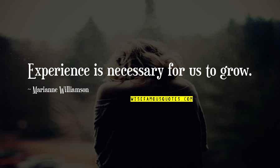 Quotes Alan Hangover Quotes By Marianne Williamson: Experience is necessary for us to grow.