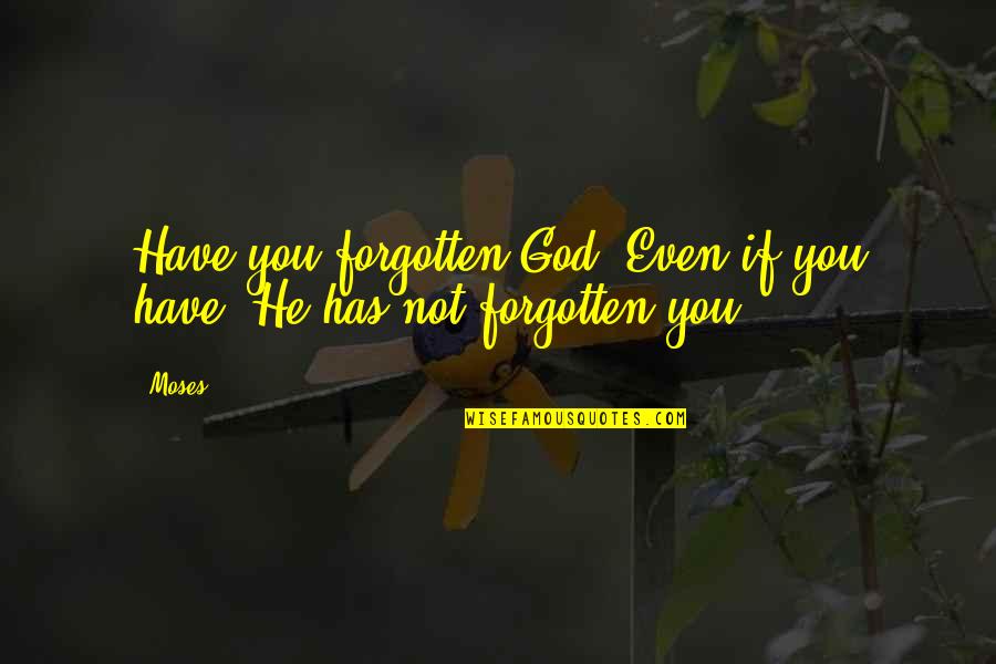 Quotes And Sayings About Horseshoes Quotes By Moses: Have you forgotten God? Even if you have,