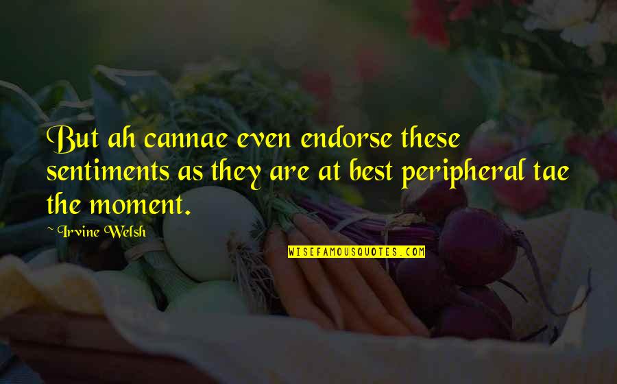 Quotes And Sayings About Outcasts Quotes By Irvine Welsh: But ah cannae even endorse these sentiments as Quotes And Sayings About Outcasts Quotes By Irvine Welsh: But ah cannae even endorse these sentiments as