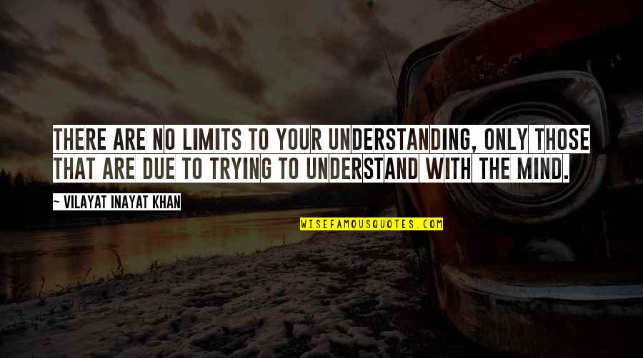 Quotes Associated With Elephants Quotes By Vilayat Inayat Khan: There are no limits to your understanding, only