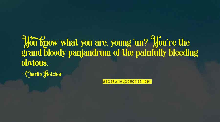 Quotes Bukowski Factotum Quotes By Charlie Fletcher: You know what you are, young 'un? You're