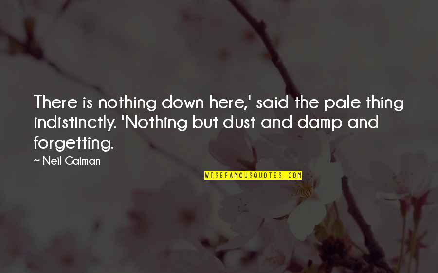 Quotes Carver Quotes By Neil Gaiman: There is nothing down here,' said the pale