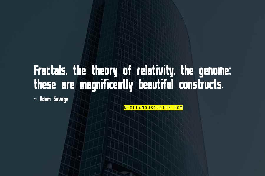Quotes Celeste And Jesse Forever Quotes By Adam Savage: Fractals, the theory of relativity, the genome: these