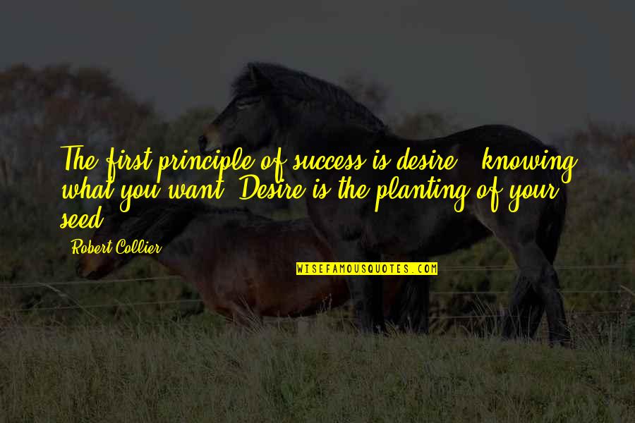 Quotes Churchill Quotes By Robert Collier: The first principle of success is desire -