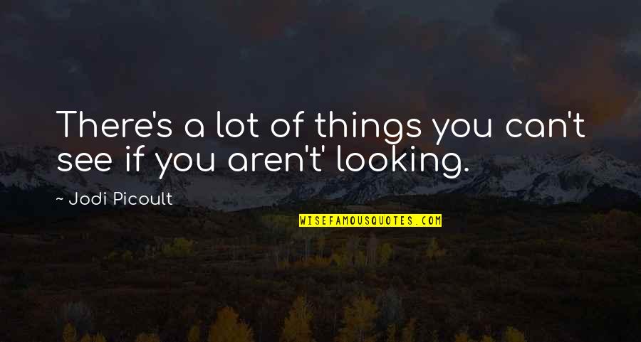Quotes Concrete Fencing Quotes By Jodi Picoult: There's a lot of things you can't see
