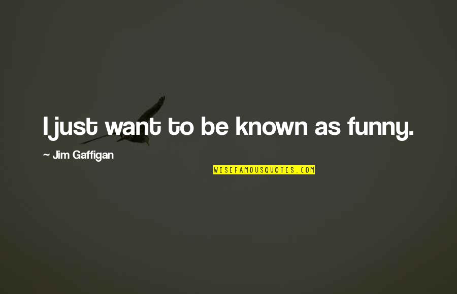 Quotes Dexter Season 8 Quotes By Jim Gaffigan: I just want to be known as funny.