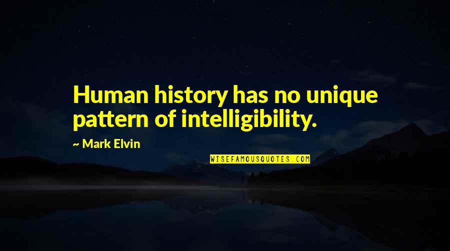 Quotes Dialogue Grammar Quotes By Mark Elvin: Human history has no unique pattern of intelligibility.