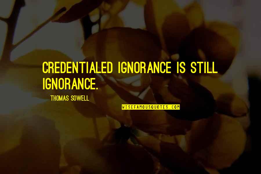 Quotes Discouraging Love Quotes By Thomas Sowell: Credentialed ignorance is still ignorance.