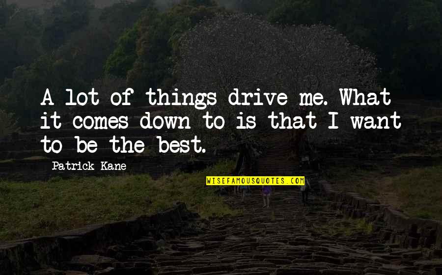 Quotes Eloise At The Plaza Quotes By Patrick Kane: A lot of things drive me. What it