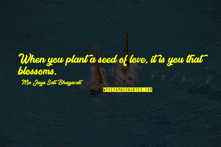 Quotes Endure Hardships Quotes By Ma Jaya Sati Bhagavati: When you plant a seed of love, it Quotes Endure Hardships Quotes By Ma Jaya Sati Bhagavati: When you plant a seed of love, it