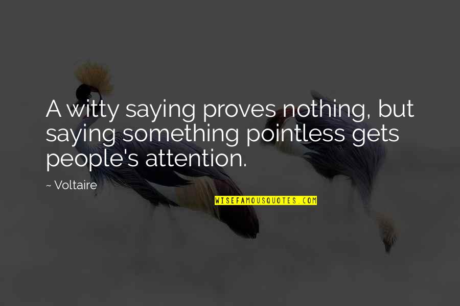 Quotes Exceeding 4 Lines Quotes By Voltaire: A witty saying proves nothing, but saying something