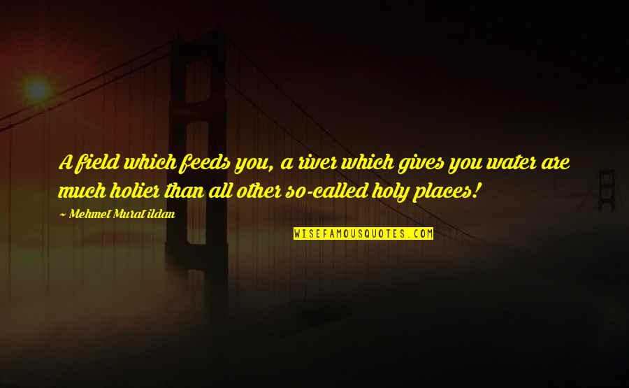 Quotes Feeds Quotes By Mehmet Murat Ildan: A field which feeds you, a river which