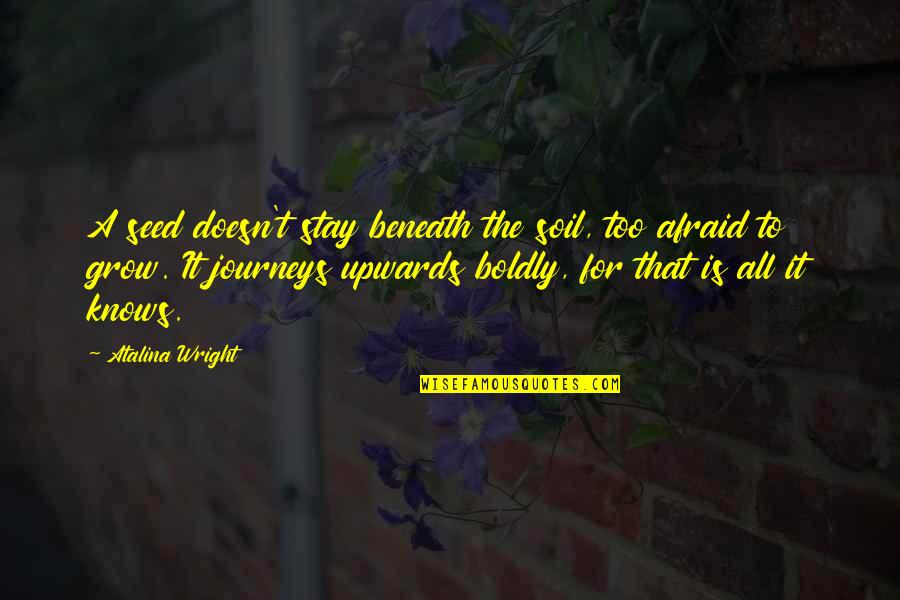 Quotes For All Quotes By Atalina Wright: A seed doesn't stay beneath the soil, too