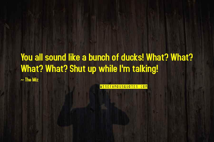Quotes From Kubler Ross About Death And Dying Quotes By The Miz: You all sound like a bunch of ducks!