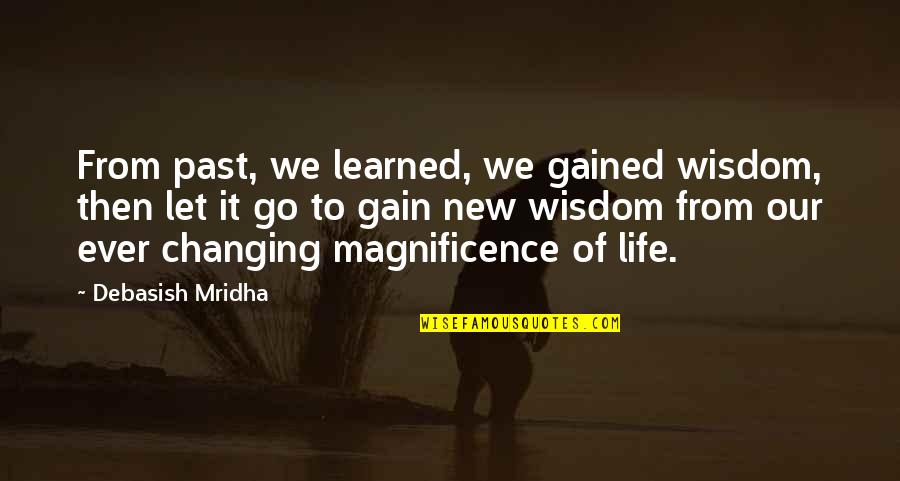 Quotes From Wisdom Quotes By Debasish Mridha: From past, we learned, we gained wisdom, then