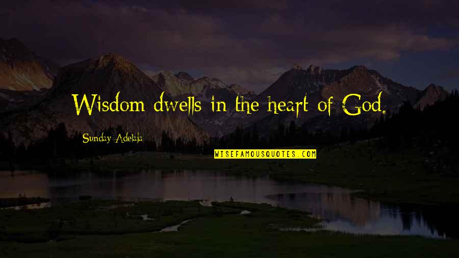 Quotes God Quotes By Sunday Adelaja: Wisdom dwells in the heart of God.