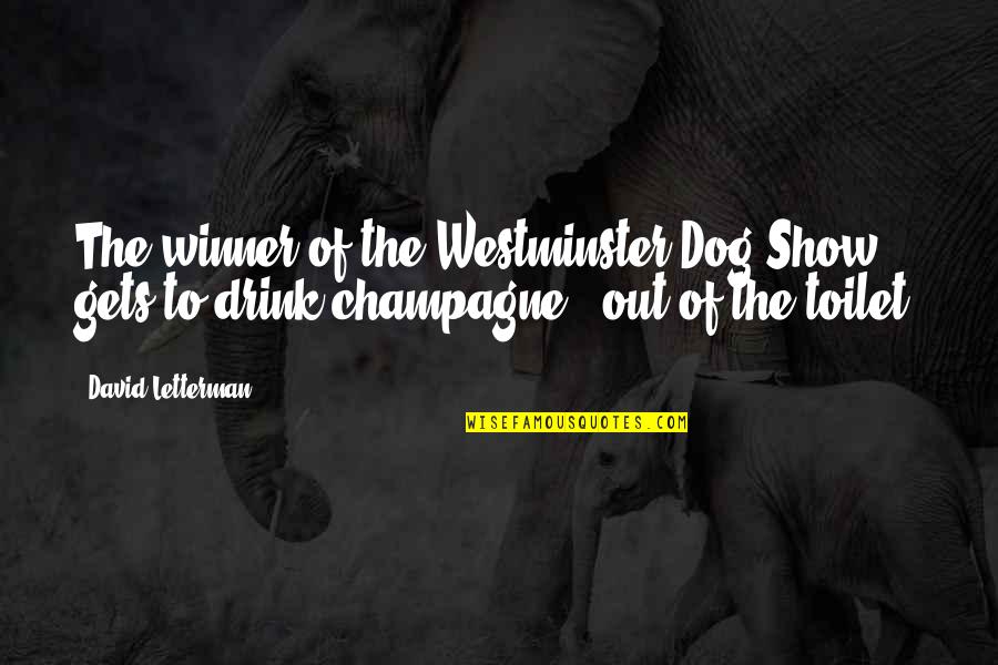 Quotes Holderlin Quotes By David Letterman: The winner of the Westminster Dog Show gets