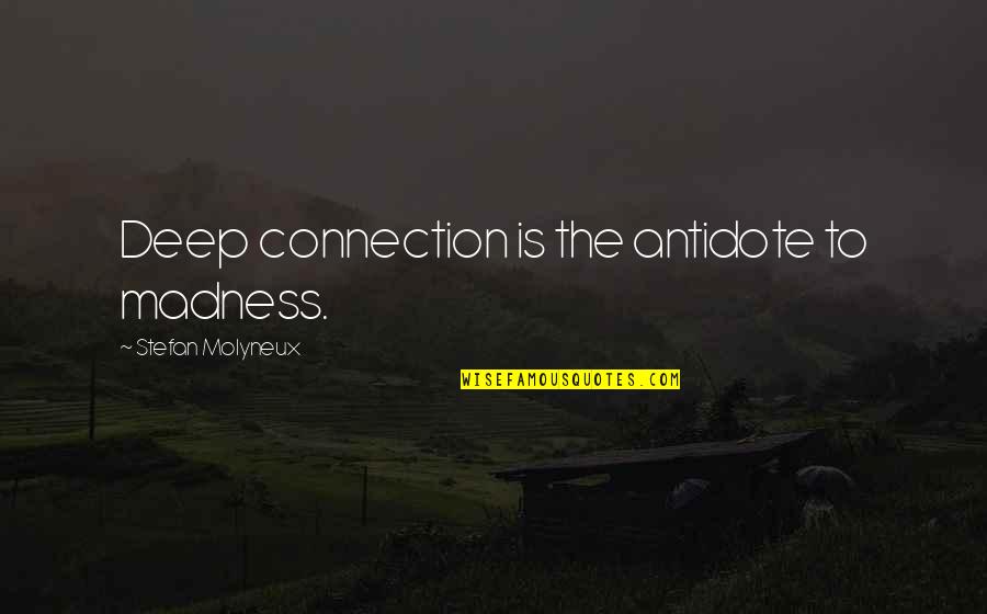 Quotes Inkheart Quotes By Stefan Molyneux: Deep connection is the antidote to madness.