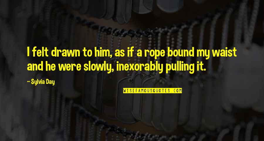 Quotes Juno And The Paycock Quotes By Sylvia Day: I felt drawn to him, as if a
