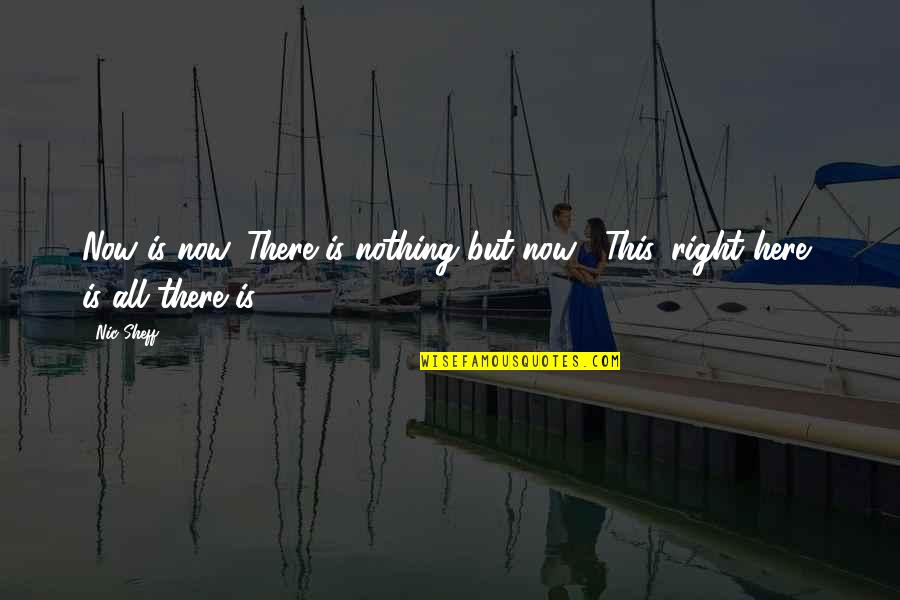 Quotes Masalah Hidup Quotes By Nic Sheff: Now is now. There is nothing but now...