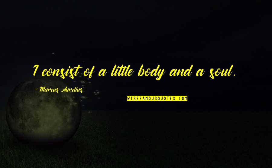 Quotes Milosevic Quotes By Marcus Aurelius: I consist of a little body and a