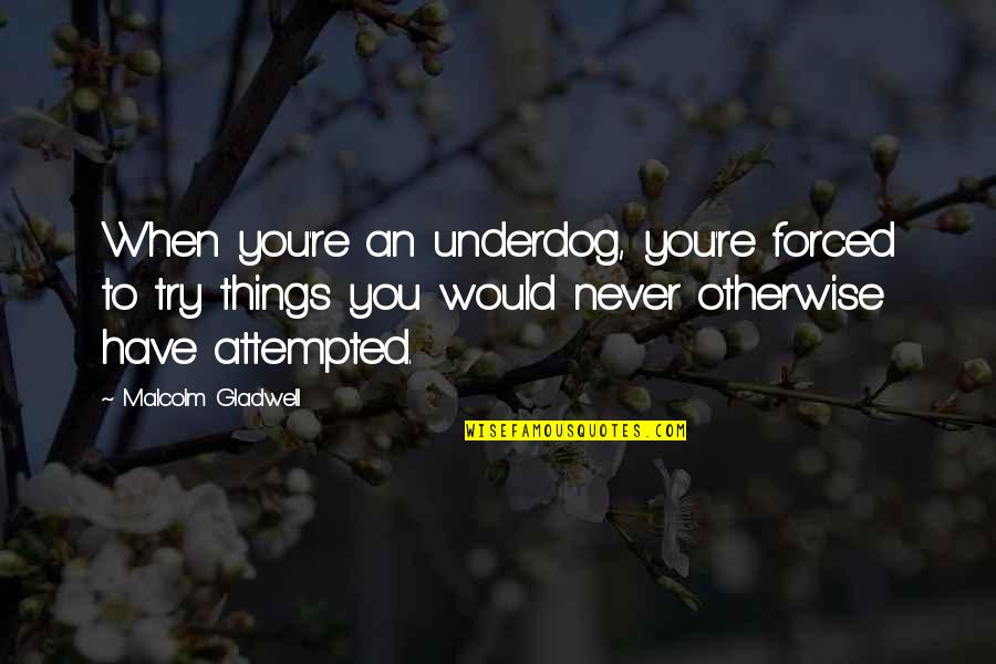 Quotes Miskin Quotes By Malcolm Gladwell: When you're an underdog, you're forced to try