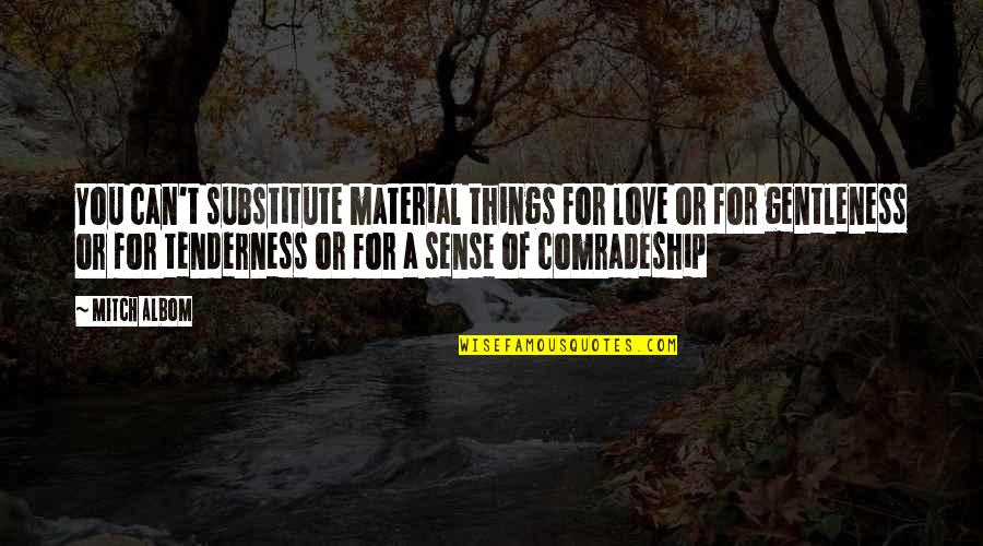 Quotes Mitch Quotes By Mitch Albom: You can't substitute material things for love or