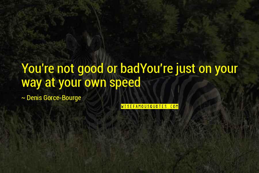 Quotes On Bad Quotes By Denis Gorce-Bourge: You're not good or badYou're just on your