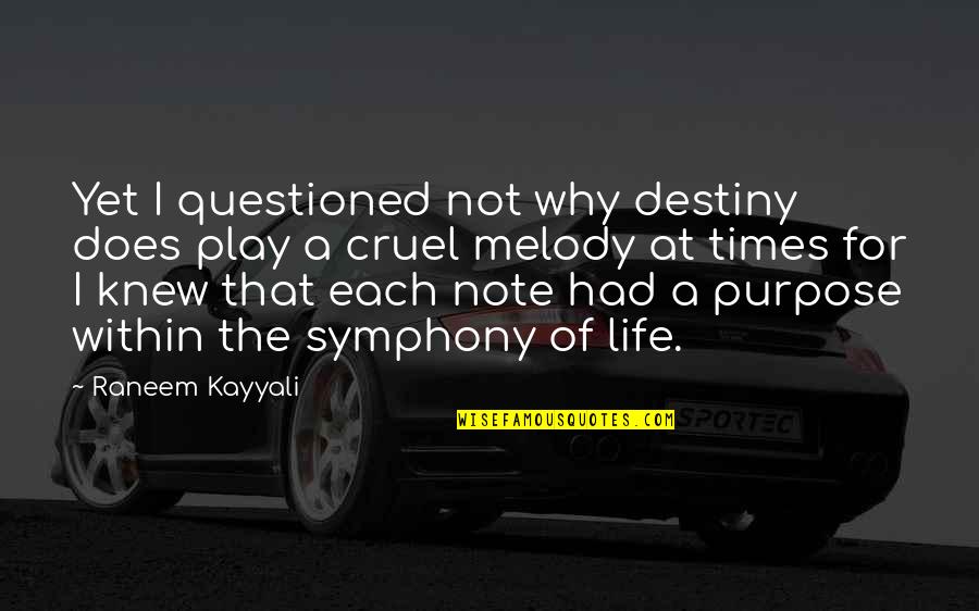 Quotes On Life And Purpose Quotes By Raneem Kayyali: Yet I questioned not why destiny does play