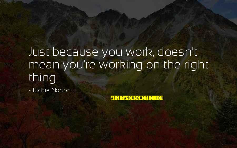 Quotes On Work Quotes By Richie Norton: Just because you work, doesn't mean you're working