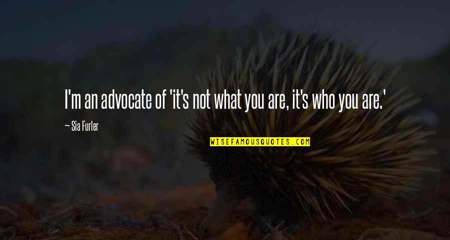 Quotes Ovid Metamorphoses Quotes By Sia Furler: I'm an advocate of 'it's not what you