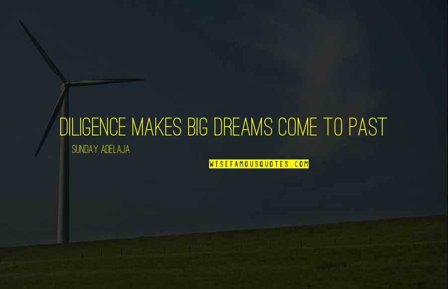 Quotes Partikel Quotes By Sunday Adelaja: Diligence makes big dreams come to past