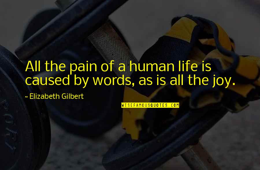 Quotes Permanent Vacation Quotes By Elizabeth Gilbert: All the pain of a human life is