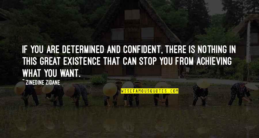 Quotes Poseidon Adventure Quotes By Zinedine Zidane: If you are determined and confident, there is