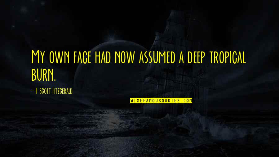 Quotes Postman To Heaven Quotes By F Scott Fitzgerald: My own face had now assumed a deep