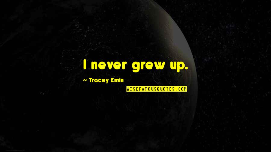 Quotes Quranic Quotes By Tracey Emin: I never grew up. Quotes Quranic Quotes By Tracey Emin: I never grew up.