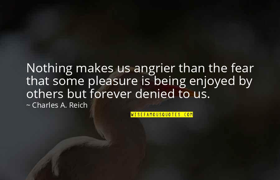 Quotes Rigorous Work Quotes By Charles A. Reich: Nothing makes us angrier than the fear that