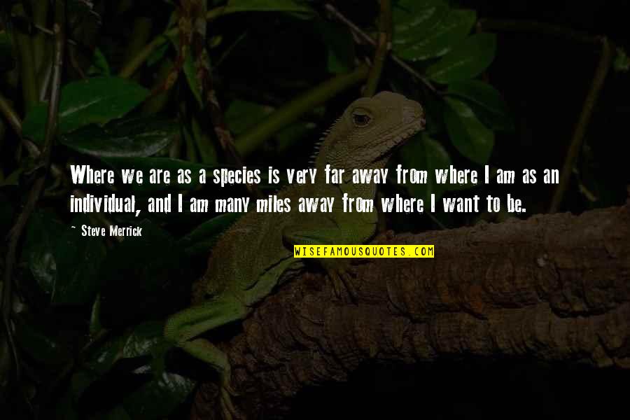 Quotes Schrijven Quotes By Steve Merrick: Where we are as a species is very