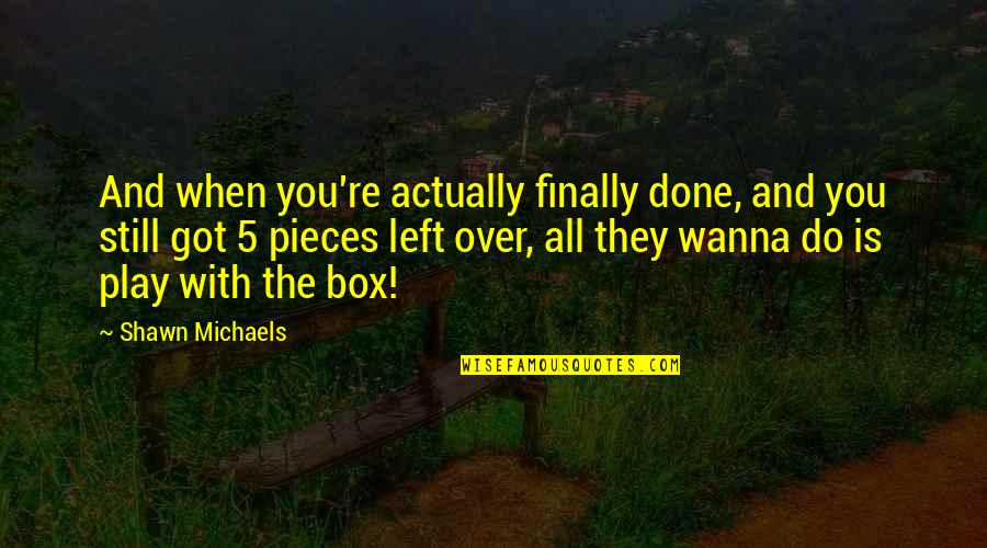 Quotes Seniman Indonesia Quotes By Shawn Michaels: And when you're actually finally done, and you