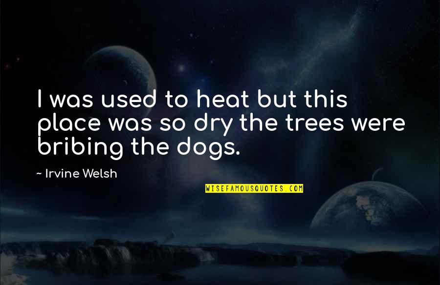 Quotes Series Tumblr Quotes By Irvine Welsh: I was used to heat but this place