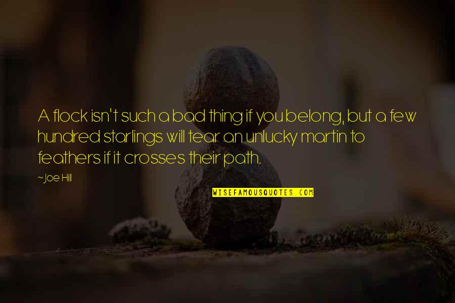 Quotes Skype Status Quotes By Joe Hill: A flock isn't such a bad thing if