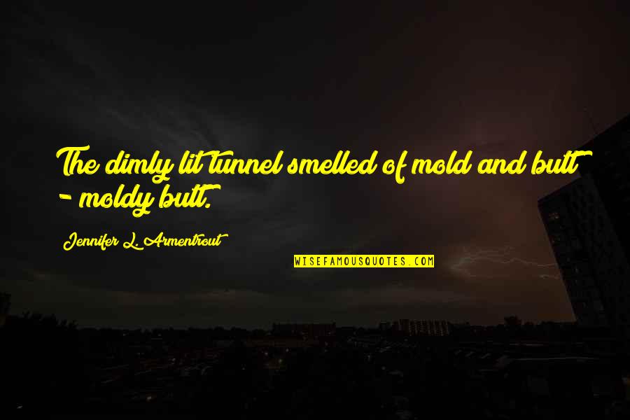 Quotes Slammed Quotes By Jennifer L. Armentrout: The dimly lit tunnel smelled of mold and