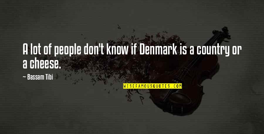 Quotes Spare The Rod Quotes By Bassam Tibi: A lot of people don't know if Denmark