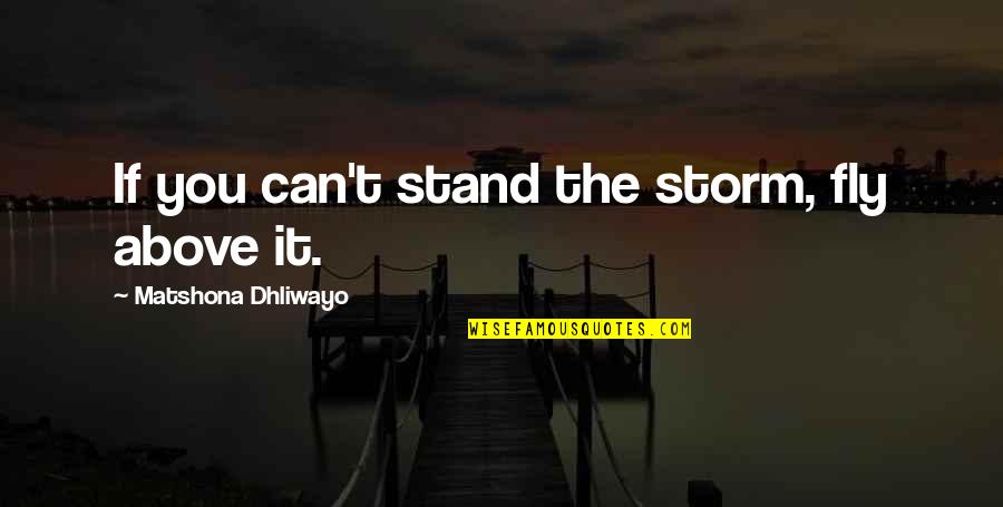 Quotes Storm Quotes By Matshona Dhliwayo: If you can't stand the storm, fly above