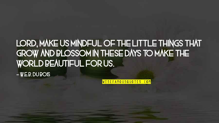 Quotes Tess Of The D'urbervilles Alec Quotes By W.E.B. Du Bois: Lord, make us mindful of the little things
